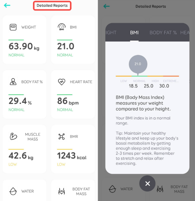 How Does Eufy Scale Calculate Bmr