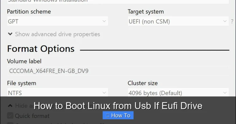 How to Boot Linux from Usb If Eufi Drive