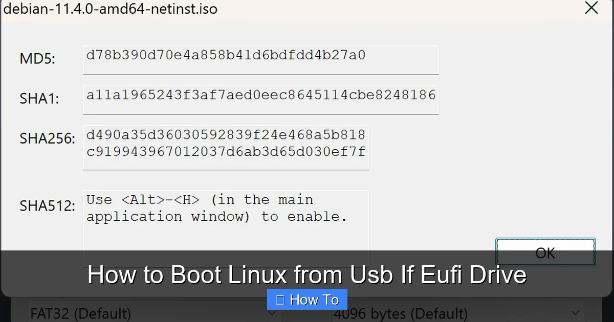 How to Boot Linux from Usb If Eufi Drive