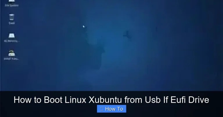 How to Boot Linux Xubuntu from Usb If Eufi Drive