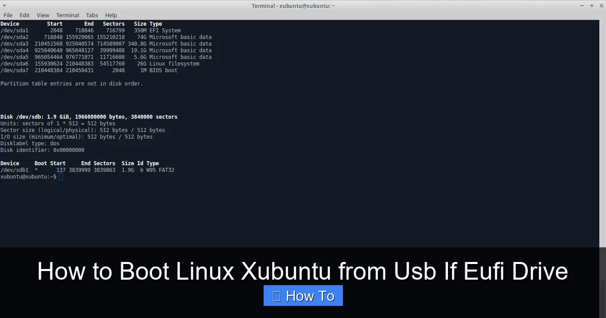 How to Boot Linux Xubuntu from Usb If Eufi Drive
