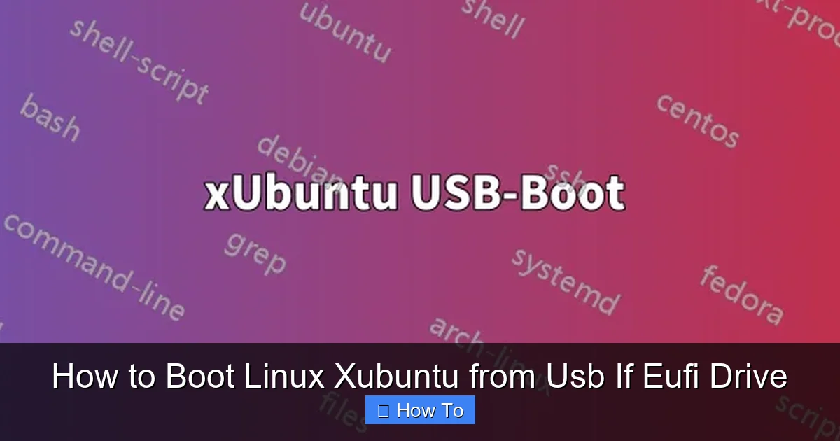 How to Boot Linux Xubuntu from Usb If Eufi Drive