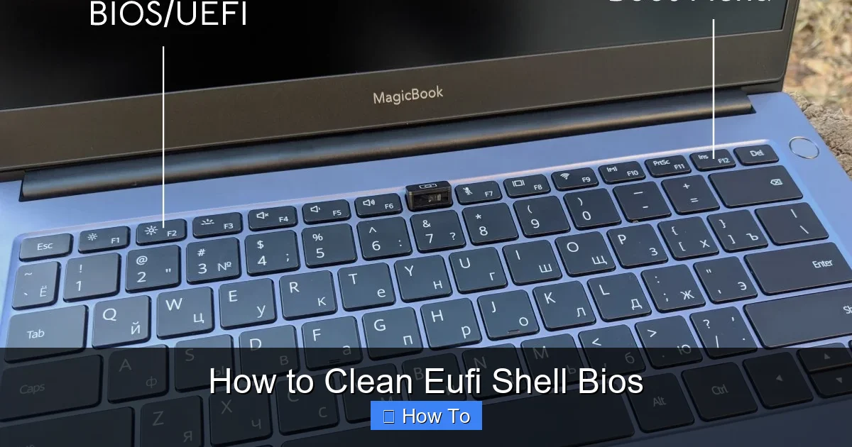How to Clean Eufi Shell Bios