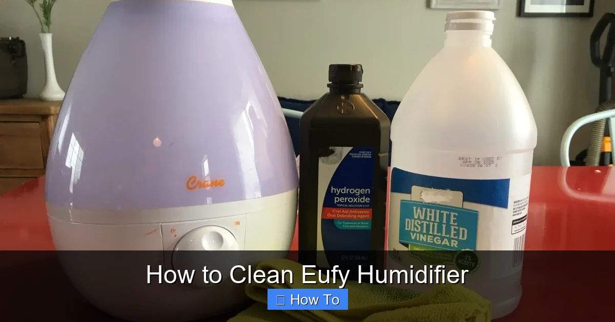 How to Clean Eufy Humidifier