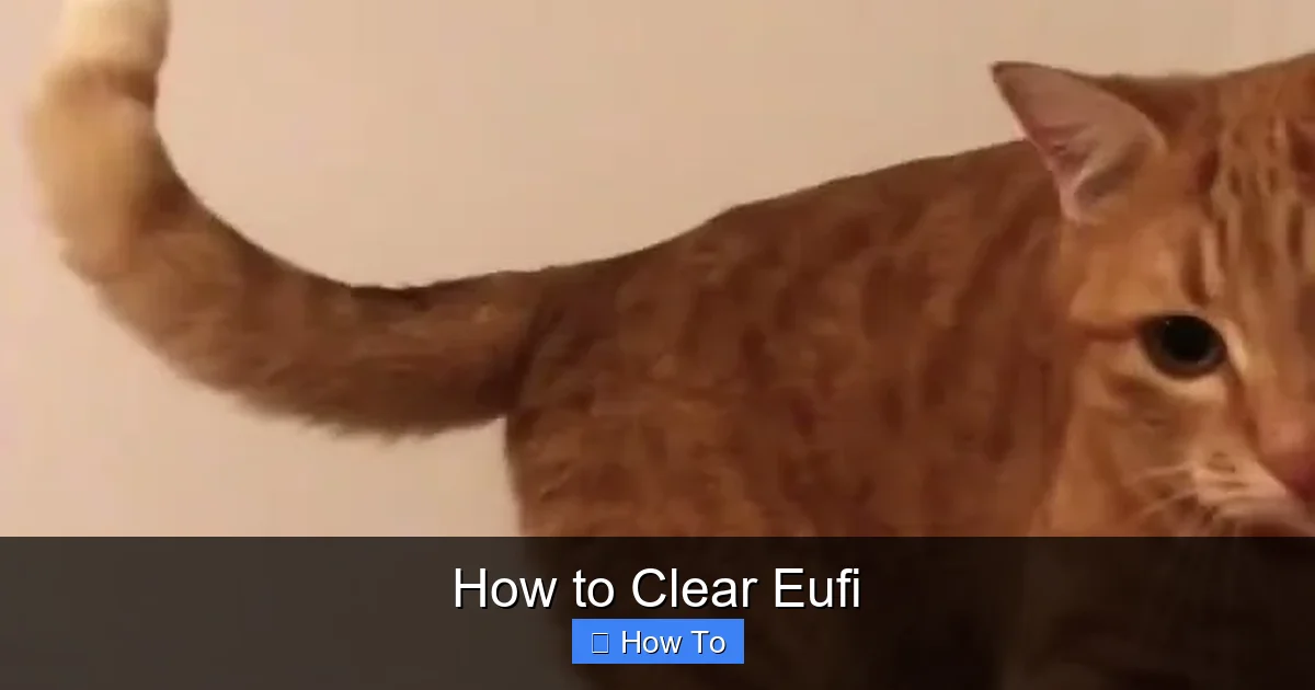 How to Clear Eufi