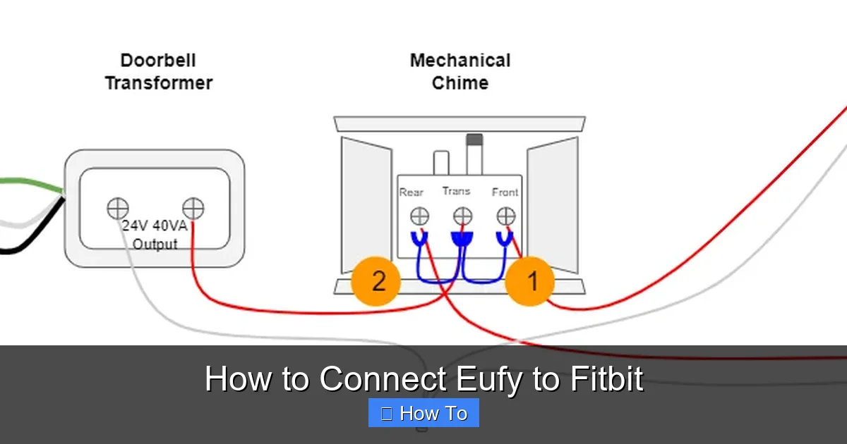 How to Connect Eufy to Fitbit