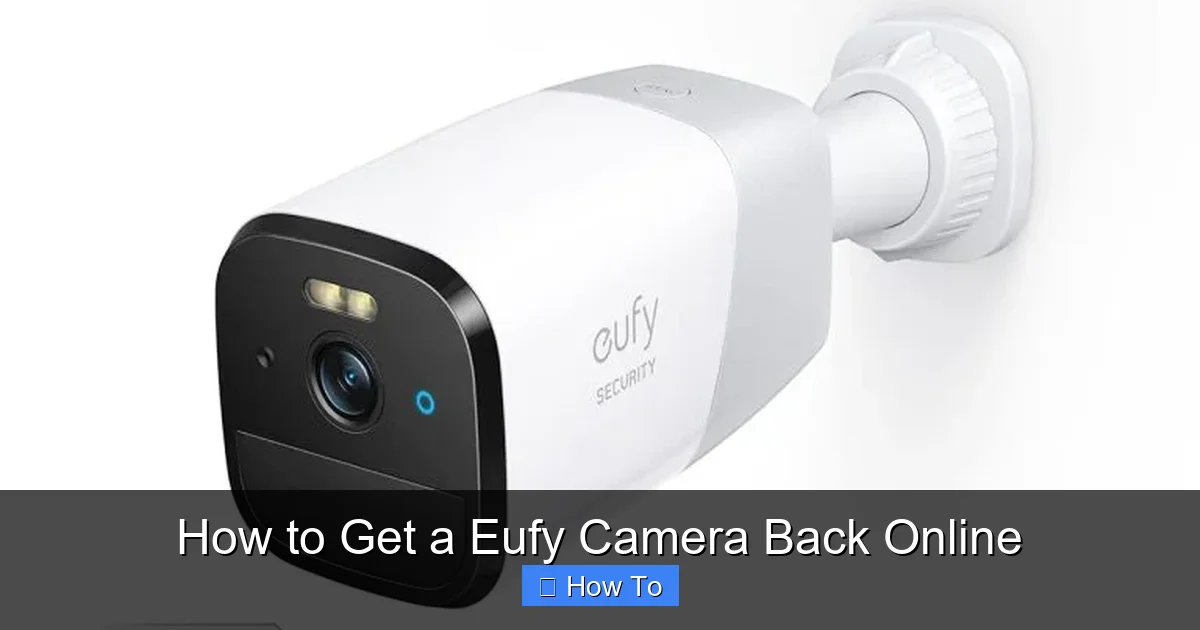 How to Get a Eufy Camera Back Online