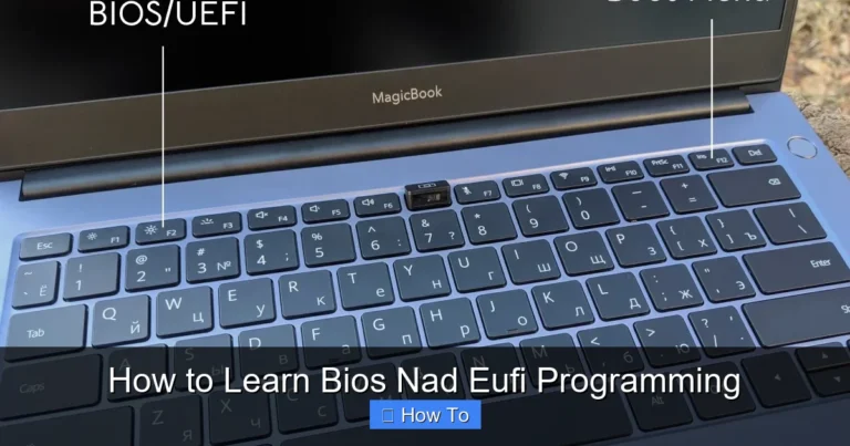 How to Learn Bios Nad Eufi Programming